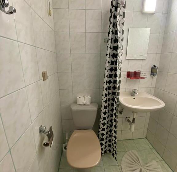 ベーシックルーム, Pod Sokolím