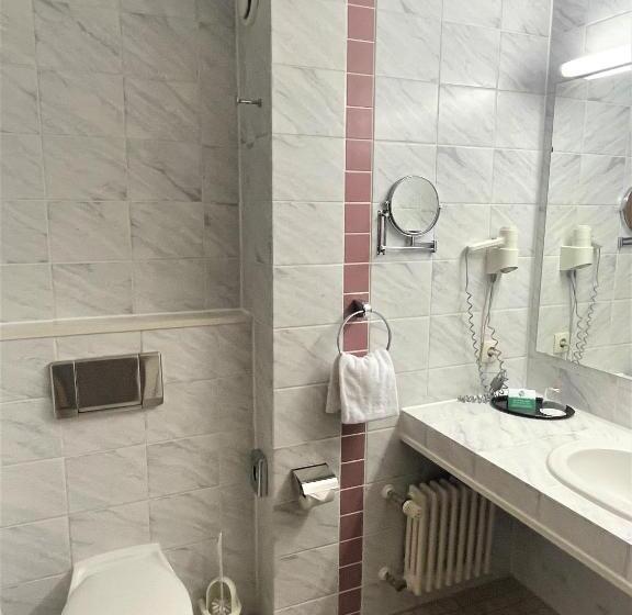 חדר סטנדרט יחיד, Best Western Parkhotel Brehna-Halle