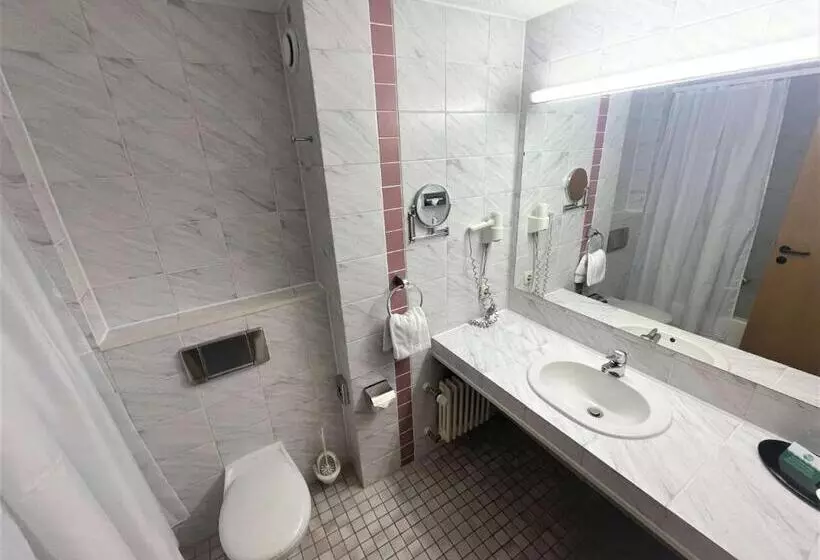 Standard-huone King-vuode, Best Western Parkhotel Brehna-Halle