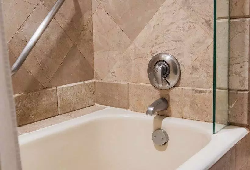 اتاق لوکس با تخت بزرگ, Camino Real Acapulco Diamante