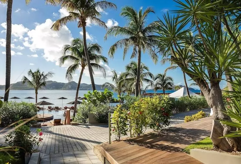اتاق استاندارد با تراس, Christopher Saint Barth