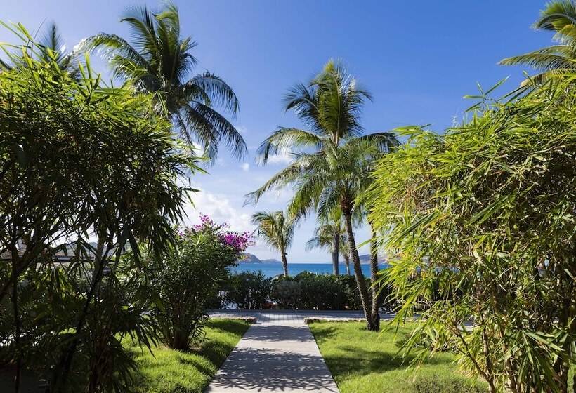 اتاق استاندارد با تراس, Christopher Saint Barth