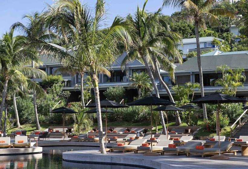 سوییت جونیور, Christopher Saint Barth