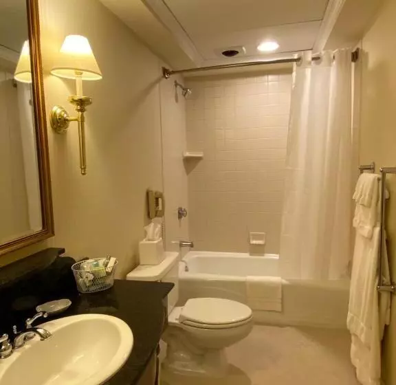 デラックスルーム, General Morgan Inn