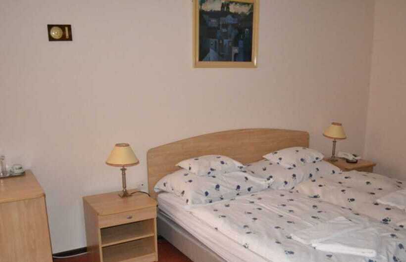 スタンダードルーム, Konferencia