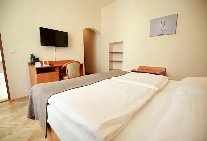 اتاق استاندارد یک نفره, Merkur   Czech Leading Hotels