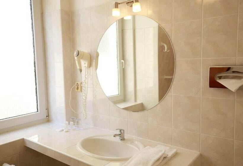 Quarto Estandar Individual, Merkur   Czech Leading Hotels