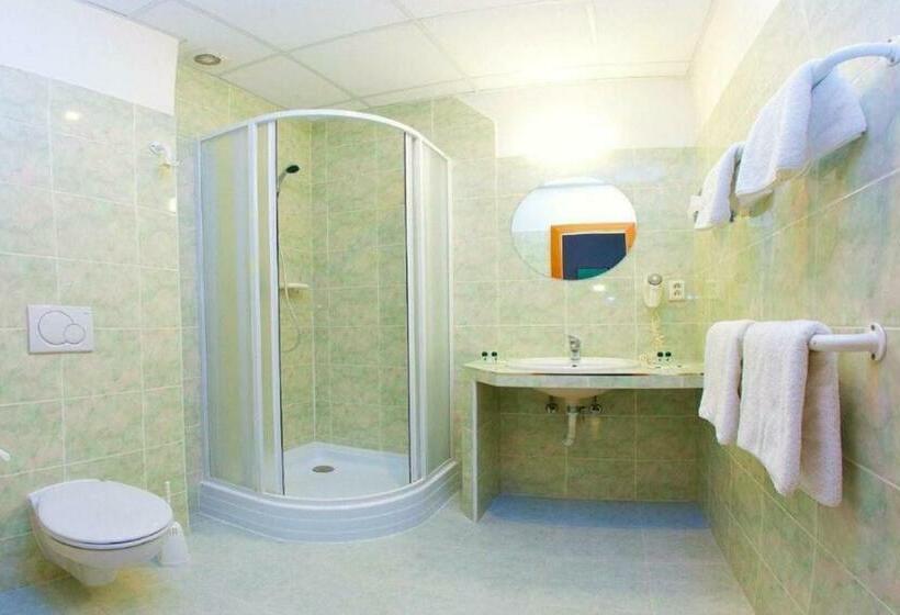 スタンダードトリプルルーム, Merkur   Czech Leading Hotels