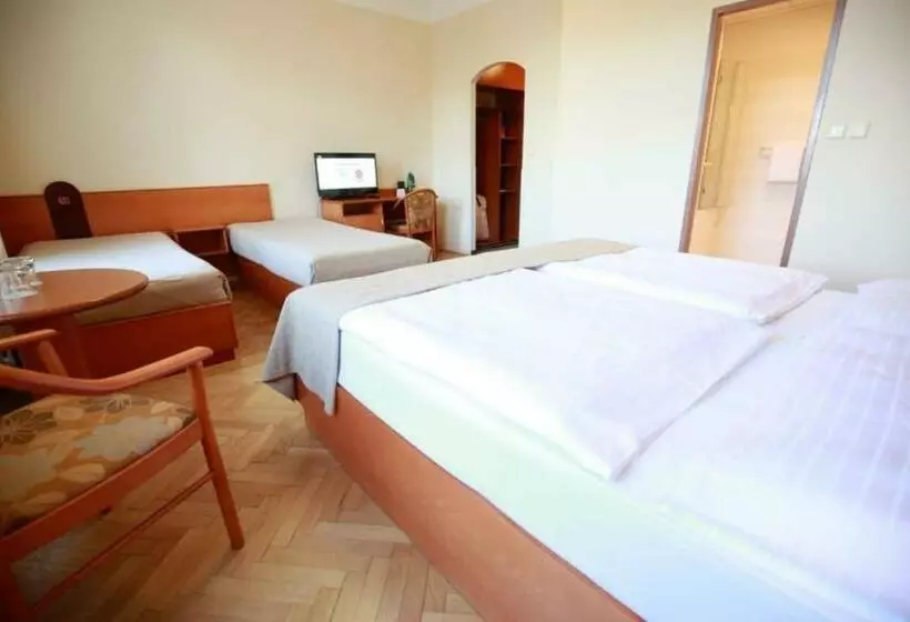 اتاق استاندارد چهار تخته, Merkur   Czech Leading Hotels