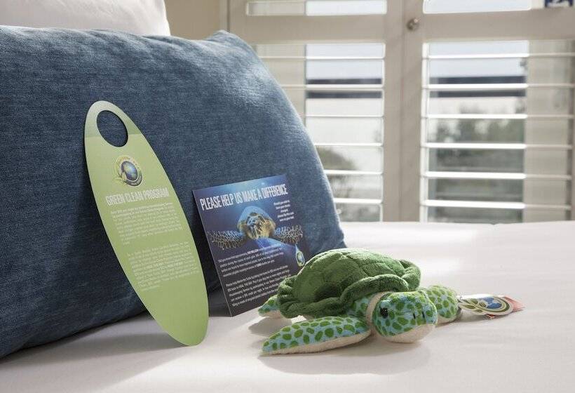 Номер Superior Кровать Кинг, Ocean View