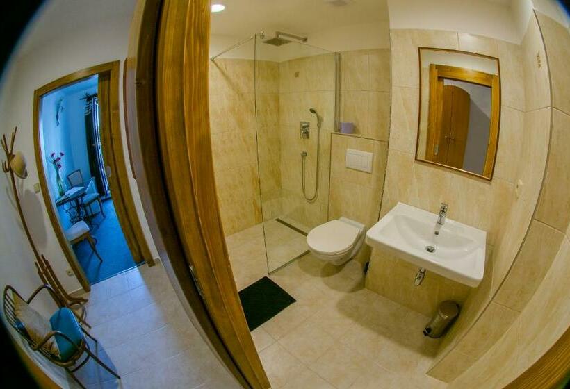 スタンダードシングルルーム, Panský Dům žamberk