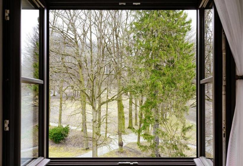 带大床的高级房间, Zámek Třešť