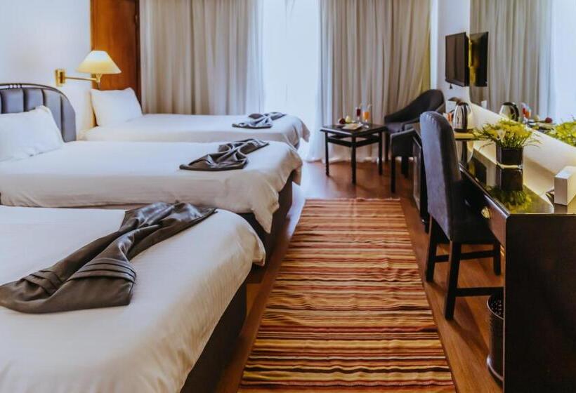 اتاق لوکس با چشم‌انداز شهر, Basma Hotel Aswan