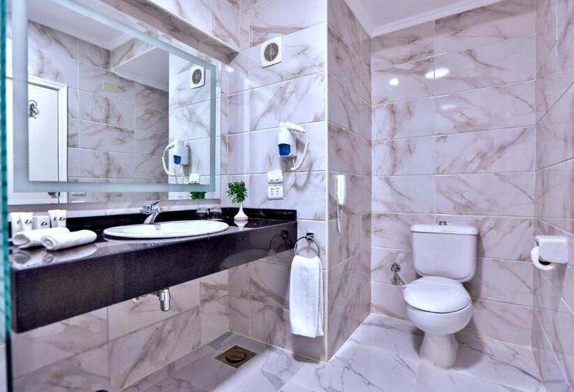 اتاق لوکس با چشم‌انداز شهر, Basma Hotel Aswan