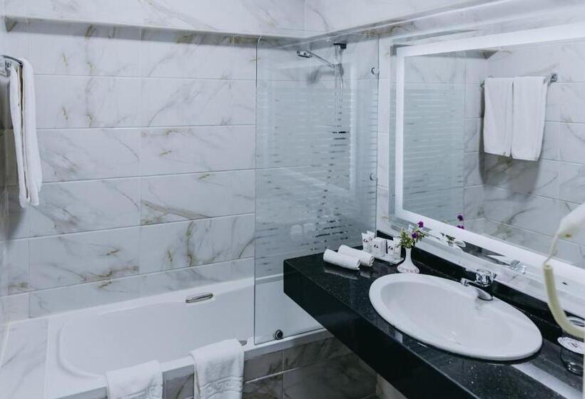اتاق لوکس با چشم‌انداز شهر, Basma Hotel Aswan