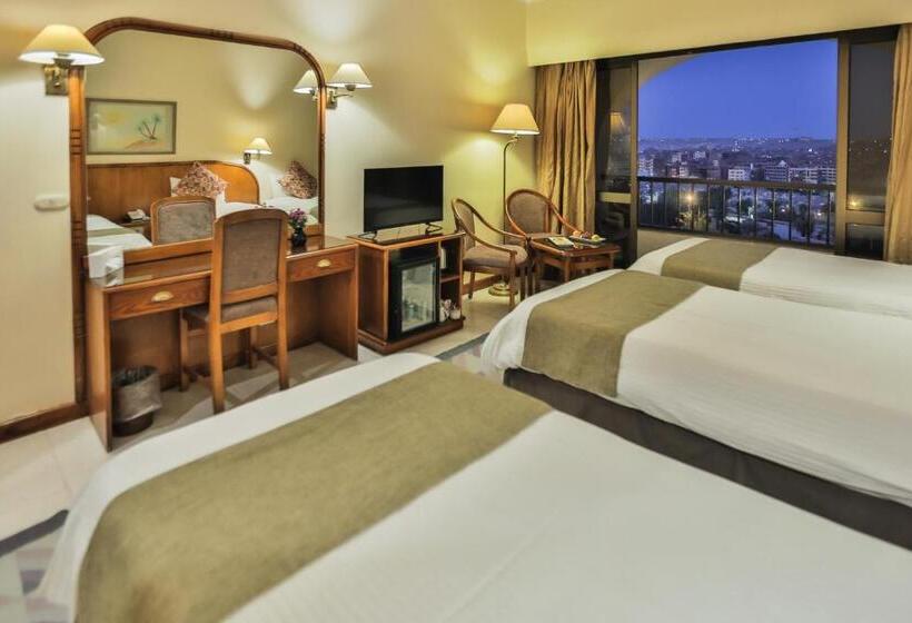 اتاق استاندارد با چشم‌انداز شهر, Basma Hotel Aswan