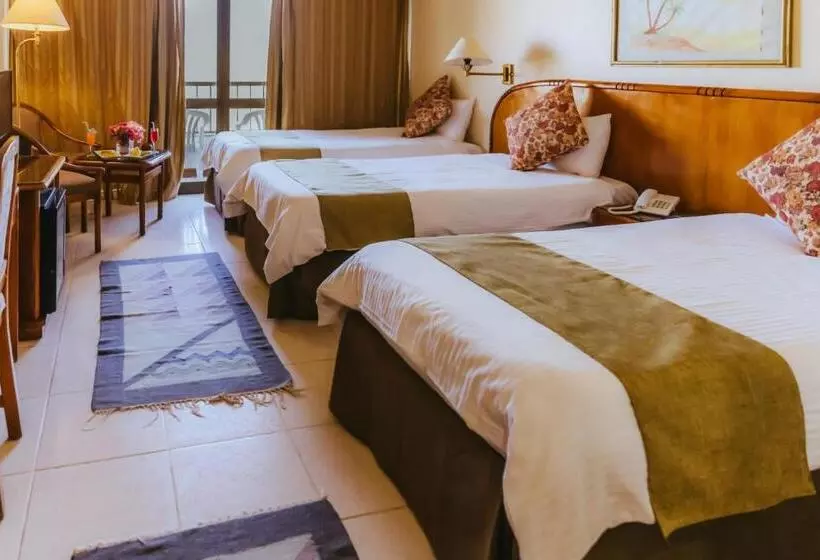 اتاق استاندارد با چشم‌انداز, Basma Hotel Aswan