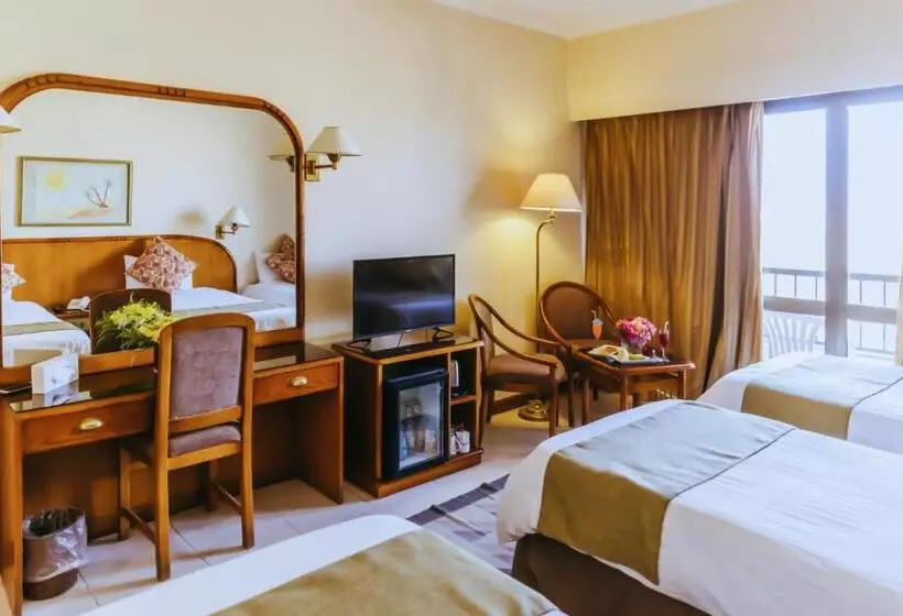 اتاق استاندارد با تراس, Basma Hotel Aswan