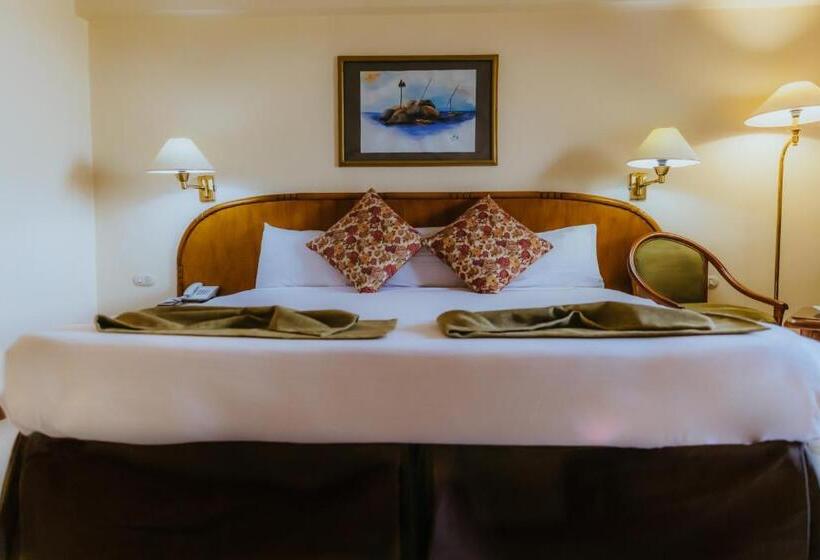 اتاق استاندارد با چشم‌انداز استخر, Basma Hotel Aswan