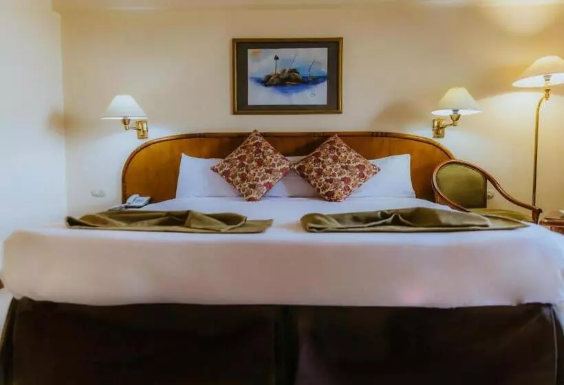 اتاق اکونومی, Basma Hotel Aswan