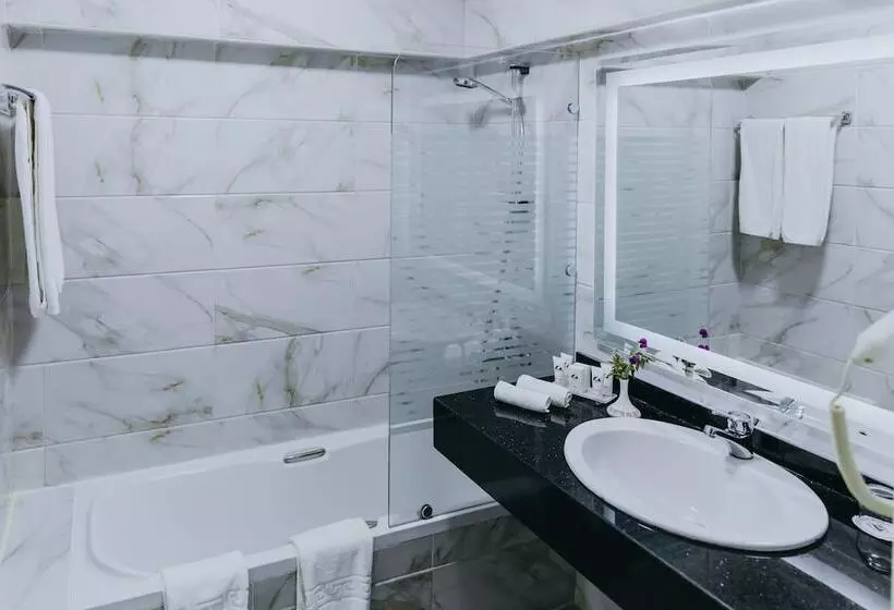 اتاق لوکس با چشم‌انداز شهر, Basma Hotel Aswan