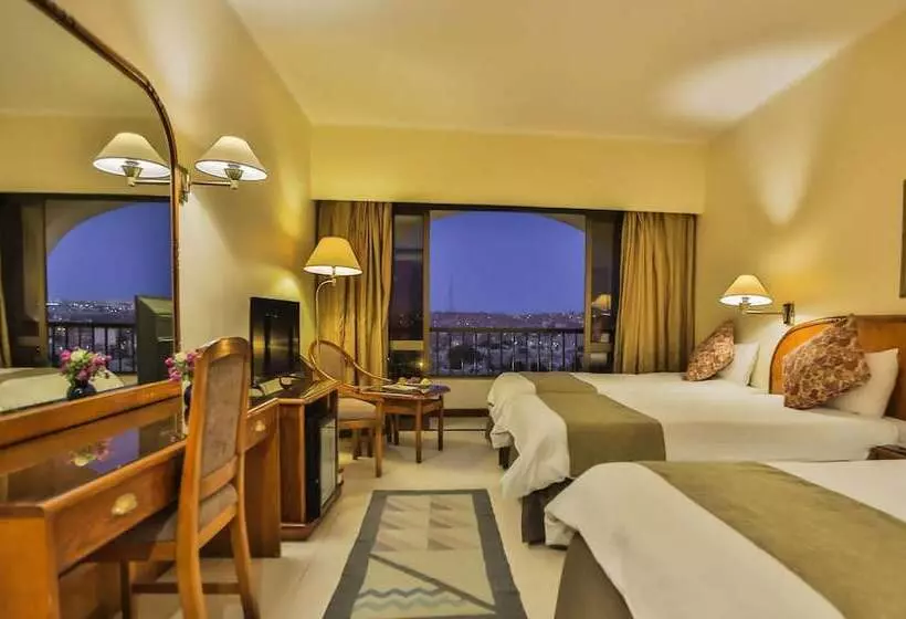 اتاق استاندارد با چشم‌انداز شهر, Basma Hotel Aswan