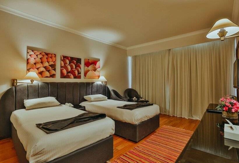 اتاق اکونومی, Basma Hotel Aswan