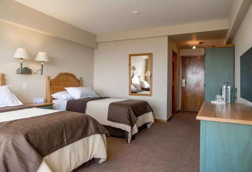シングルデラックスルーム, Wyndham Garden Ushuaia Hotel Del Glaciar