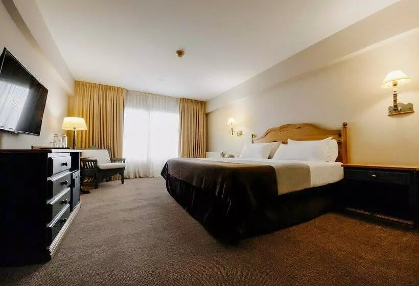 景色の見えるスーペリアルーム, Wyndham Garden Ushuaia Hotel Del Glaciar