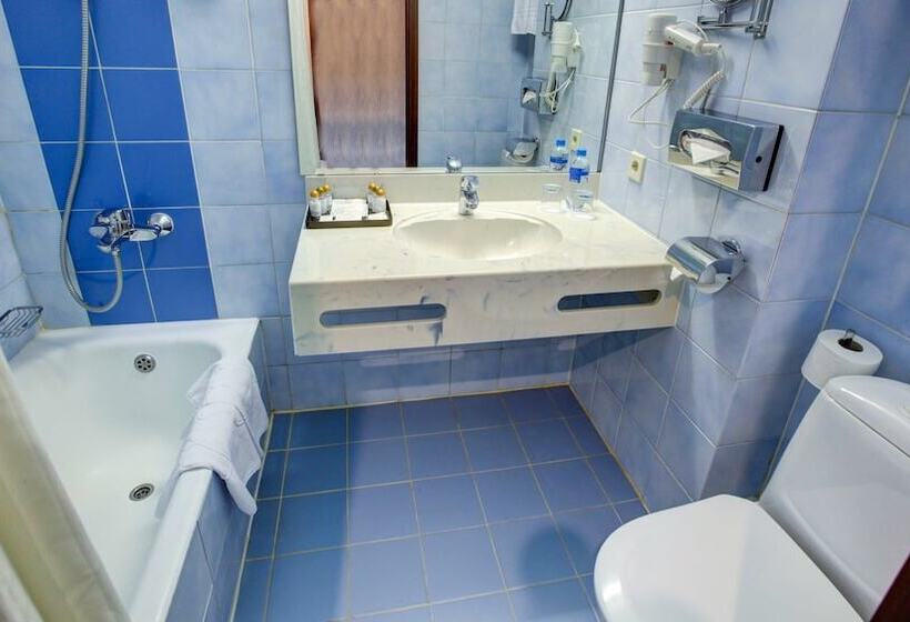 اتاق استاندارد, Aerostar Hotel Moscow