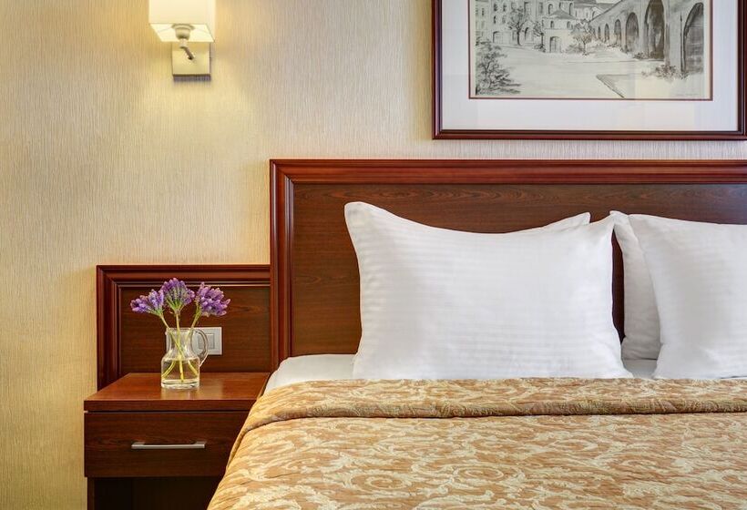 اتاق استاندارد, Aerostar Hotel Moscow