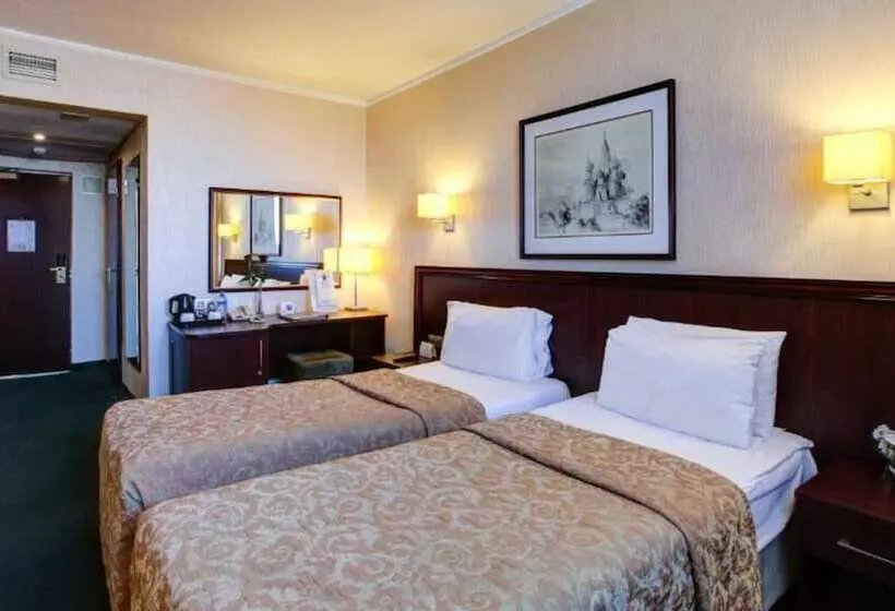 スタンダードルーム, Aerostar Hotel Moscow