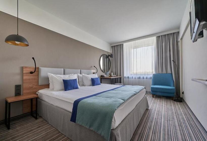 اتاق راحتی, Aerostar Hotel Moscow