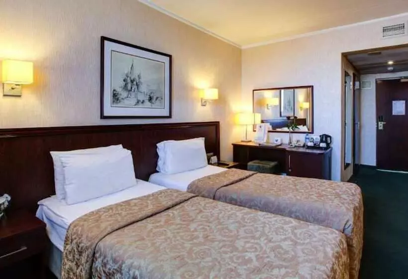 スタンダードルーム, Aerostar Hotel Moscow