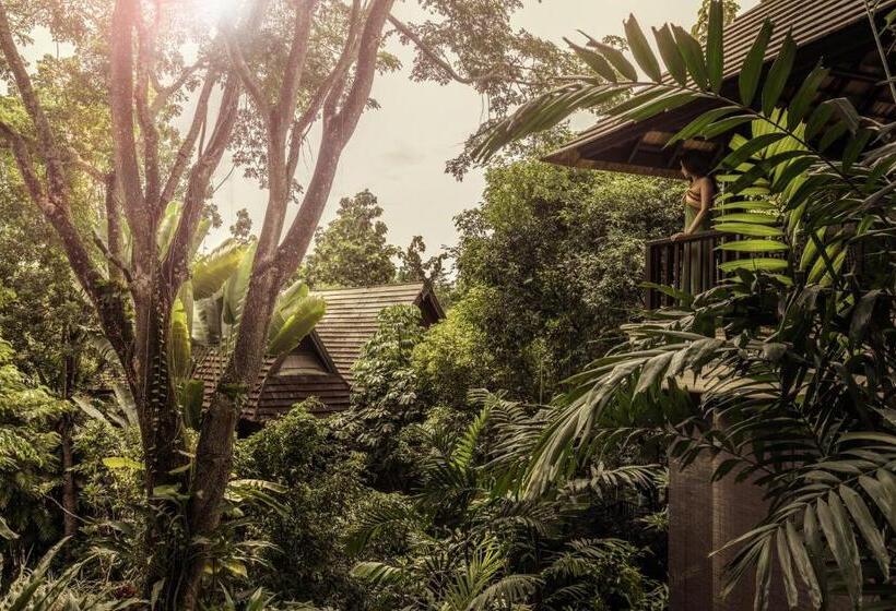 اتاق سوپریور با تخت بزرگ, Four Seasons Resort Chiang Mai
