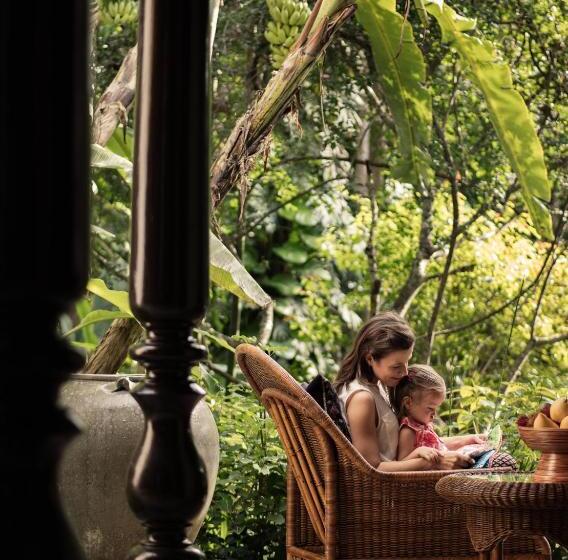 Апартаменты 1 Спальня, Four Seasons Resort Chiang Mai