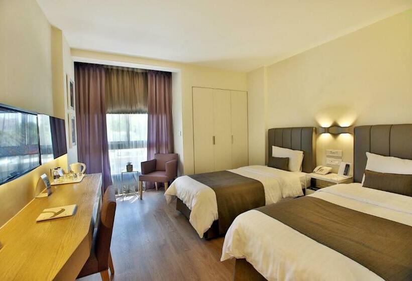 اتاق استاندارد, Alqasr Metropole