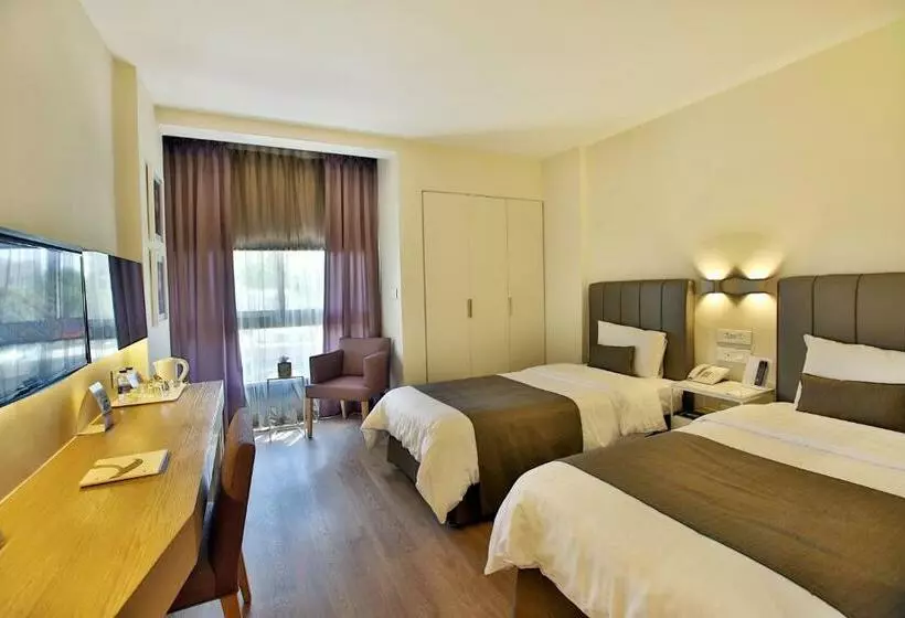 اتاق استاندارد, Alqasr Metropole
