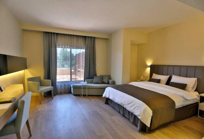 سوییت اجرایی, Alqasr Metropole