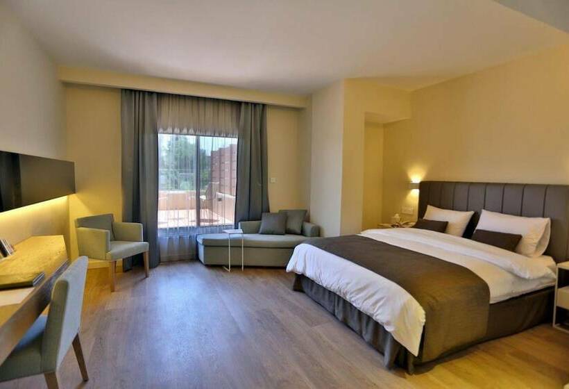 سوییت اجرایی, Alqasr Metropole