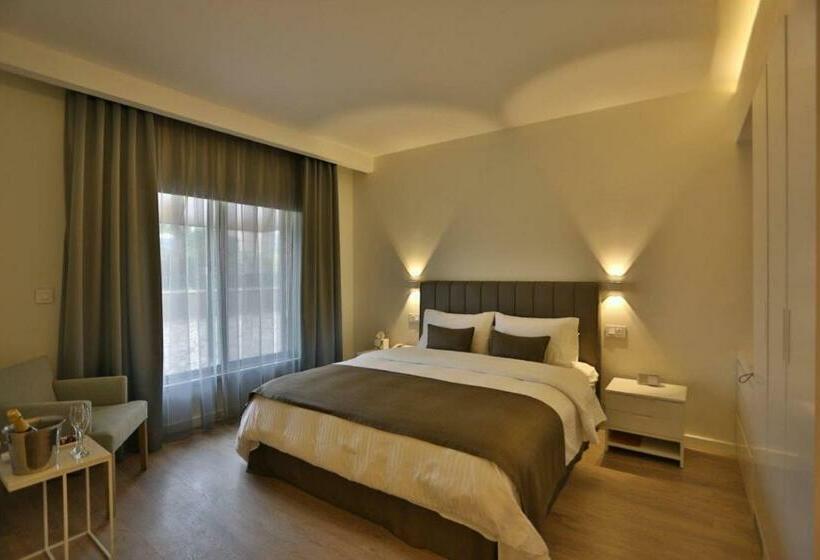 اتاق استاندارد با تخت بزرگ, Alqasr Metropole