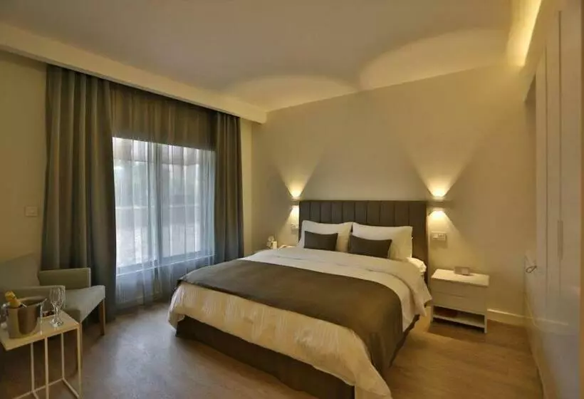 اتاق استاندارد با تخت بزرگ, Alqasr Metropole
