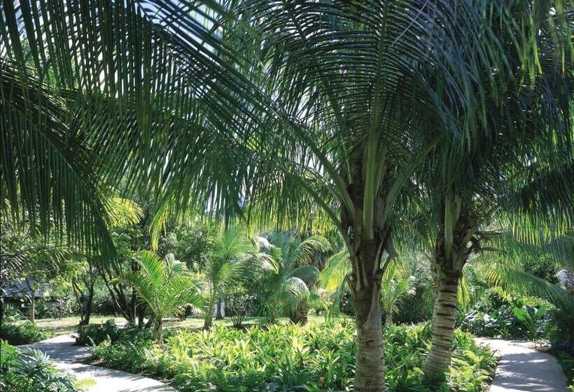 سوییت, Carlisle Bay