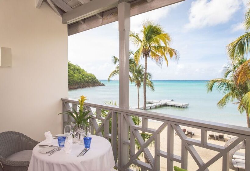 سوییت, Carlisle Bay