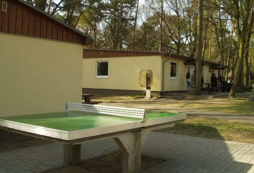 スタンダード４人部屋, Hostel Schweriner See