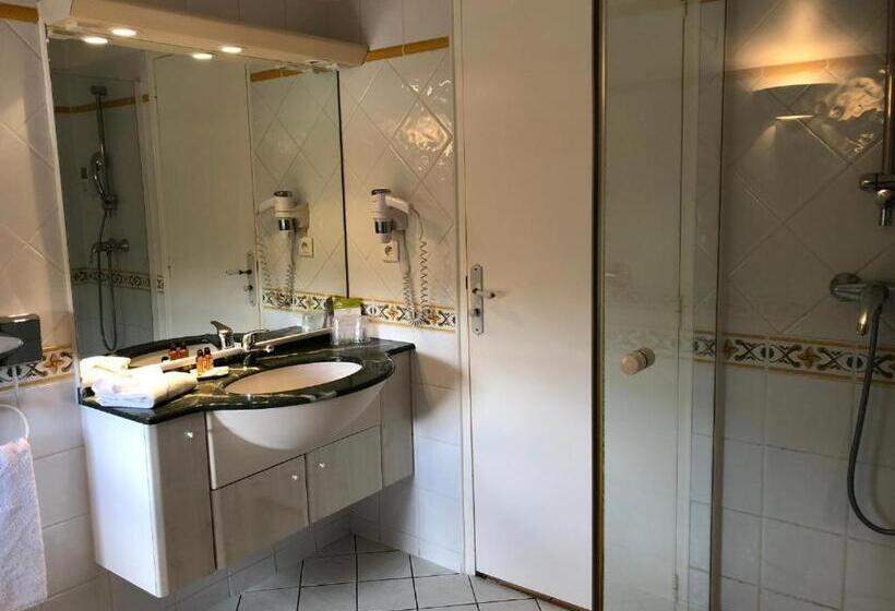 プールビュースタンダードルーム, Hôtel Jas Neuf