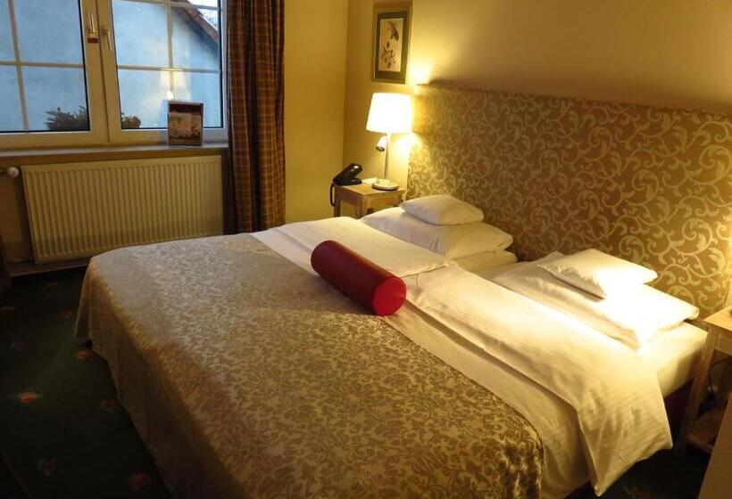 스탠다드 싱글 룸, Ringhotel Hotel Zum Stein