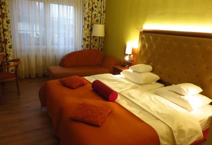 スタンダードシングルルーム, Ringhotel Hotel Zum Stein