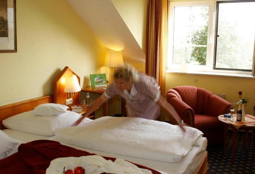 חדר סטנדרט יחיד, Ringhotel Hotel Zum Stein