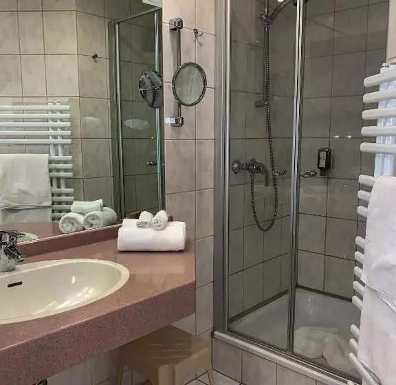 スタンダードシングルルーム, Ringhotel Hotel Zum Stein
